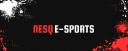 Discovery splash banner for NESQ E-SPORTS Discord server