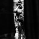 Discovery splash banner for 100% Bodybuilding Discord server