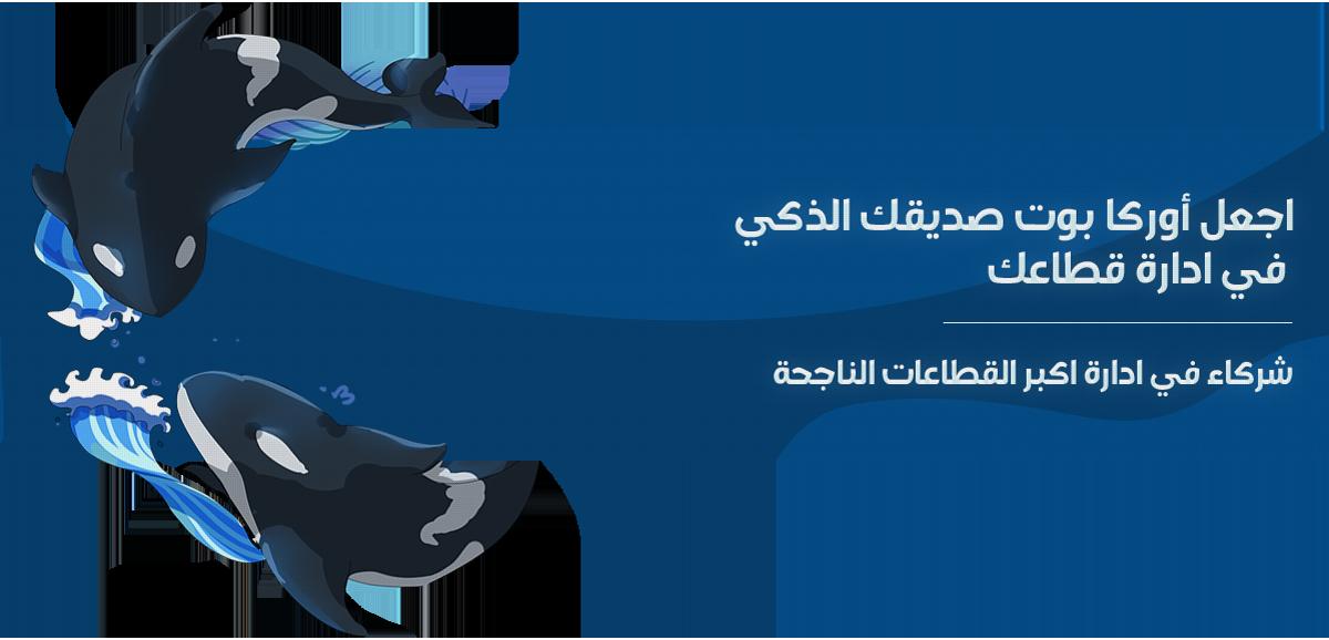 Discovery splash banner for Orca Bot Discord server