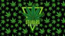 Discovery splash banner for Stoners United Discord server