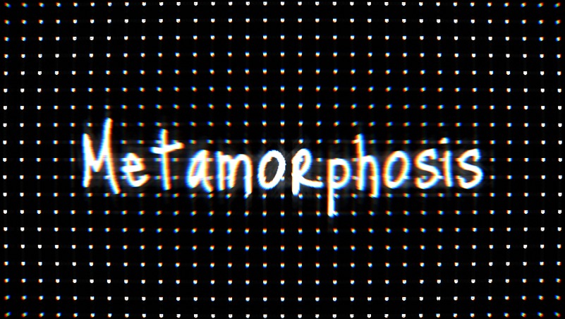 Discovery splash banner for Metamorphosis Discord server