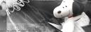 Discovery splash banner for Snoopy World Discord server