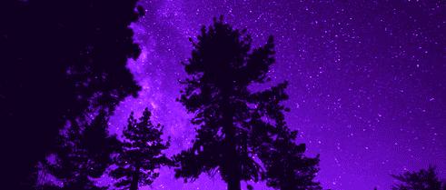 Discovery splash banner for ✨. Starlight™ | Chill • Social • Gaming • Giveaways • Events! Discord server