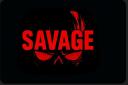 Discovery splash banner for SAVAGE Discord server