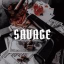 Discovery splash banner for SAVAGE Discord server