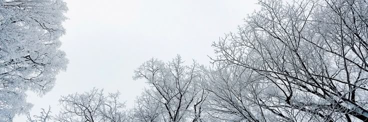 Discovery splash banner for ๐ฎ๐๐๐
๐๐ โ Ricster's Server Discord server