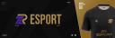 Discovery splash banner for 2R - Esport Discord server
