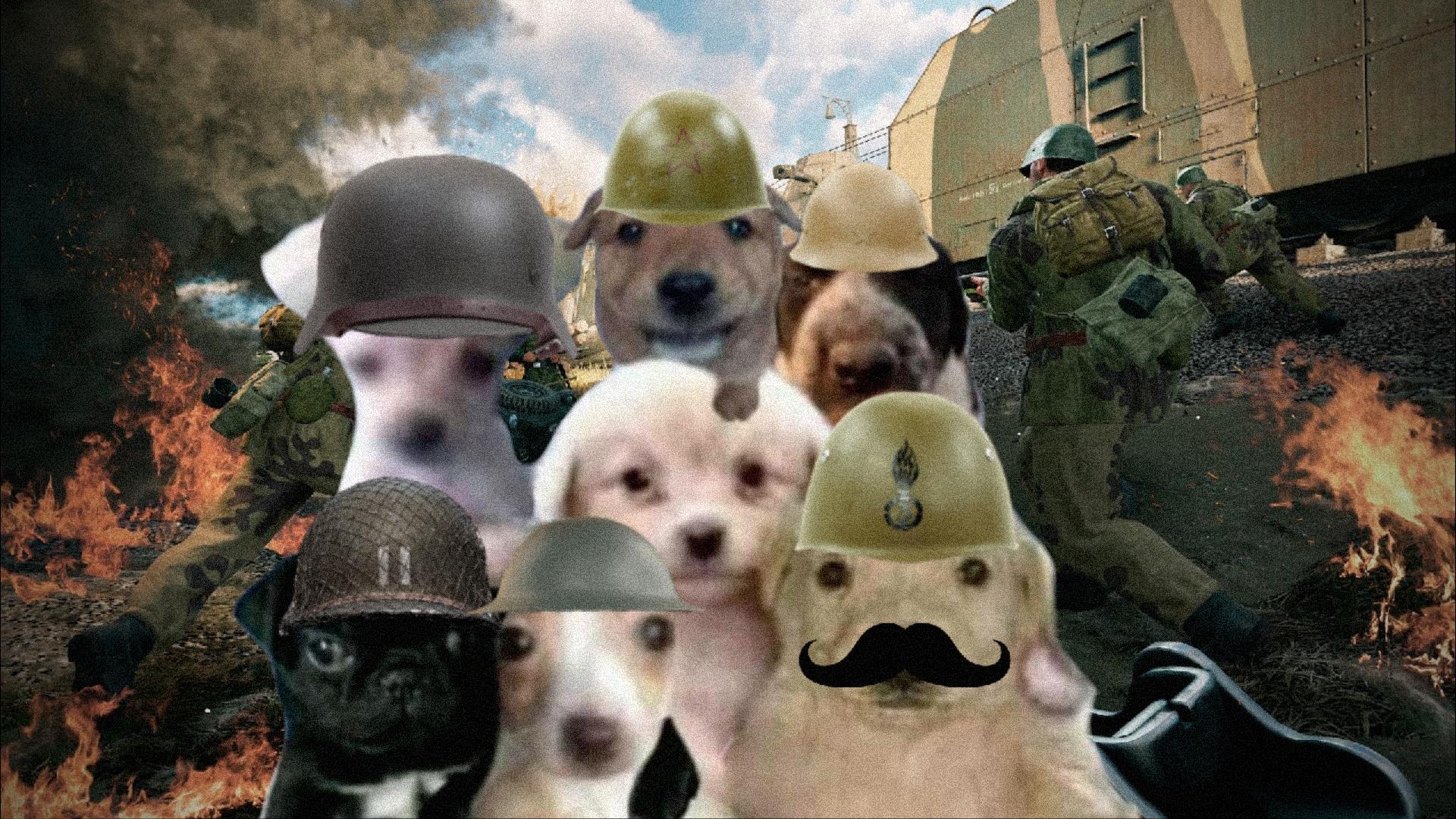 Discovery splash banner for Enlisted - Español Discord server