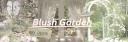 Discovery splash banner for ˚₊‧꒰˚ ノBlush Garden ˖꒱ ‧₊˚ Discord server