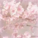 Discovery splash banner for friends :3 Discord server