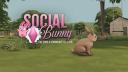 Discovery splash banner for The Sims 4 • Social Bunny • Community Server by Sarah Simmer xo Discord server