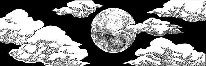 Discovery splash banner for Shadow Vortex Discord server