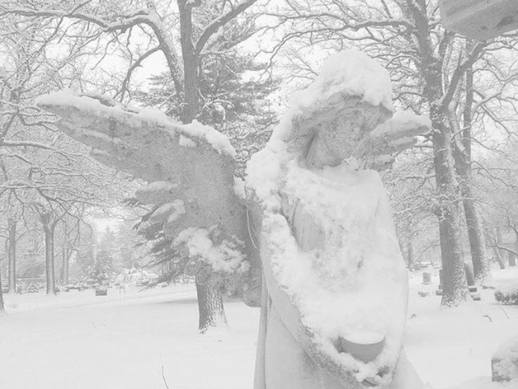 Discovery splash banner for soups ﹒ social & giveaways ㆍ vc ㆍ gaming Discord server