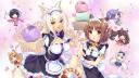 Discovery splash banner for ．🌸　﹐  Nekos Society┊ 20K Discord server