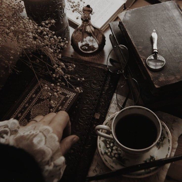 Discovery splash banner for `` Library Café `` ˳ Discord server