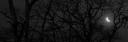 Discovery splash banner for Nightowl • Chill • VC • Gaming • Giveways Discord server