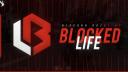 Discovery splash banner for BLRP™ Discord server