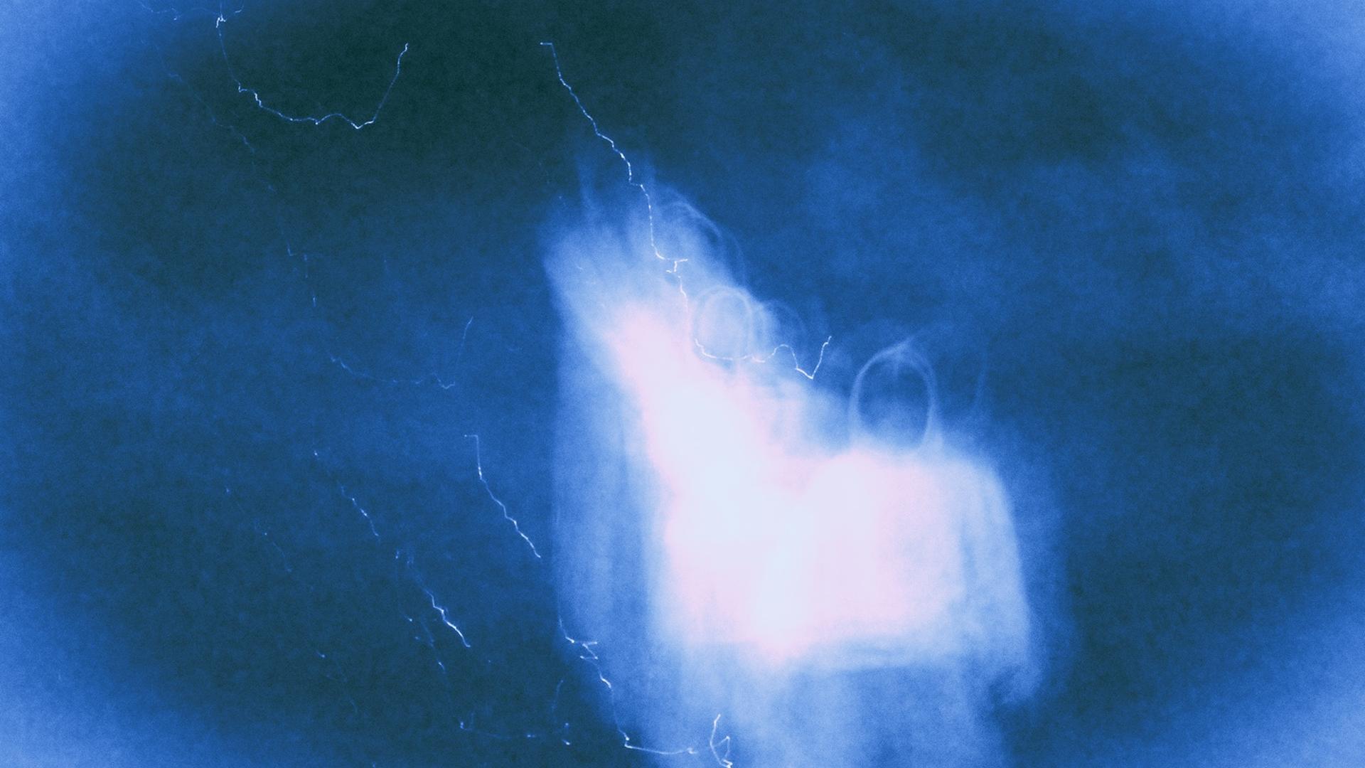 Discovery splash banner for BENCHIKI'S TRIBE Discord server