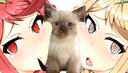 Discovery splash banner for LUIMI ★ STORE Discord server