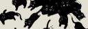 Discovery splash banner for Lotta Tags | RARE TAGS | 100+ GUILDS Discord server