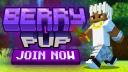 Discovery splash banner for berrypvp.net Discord server