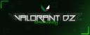 Discovery splash banner for VALORANT DZ Discord server