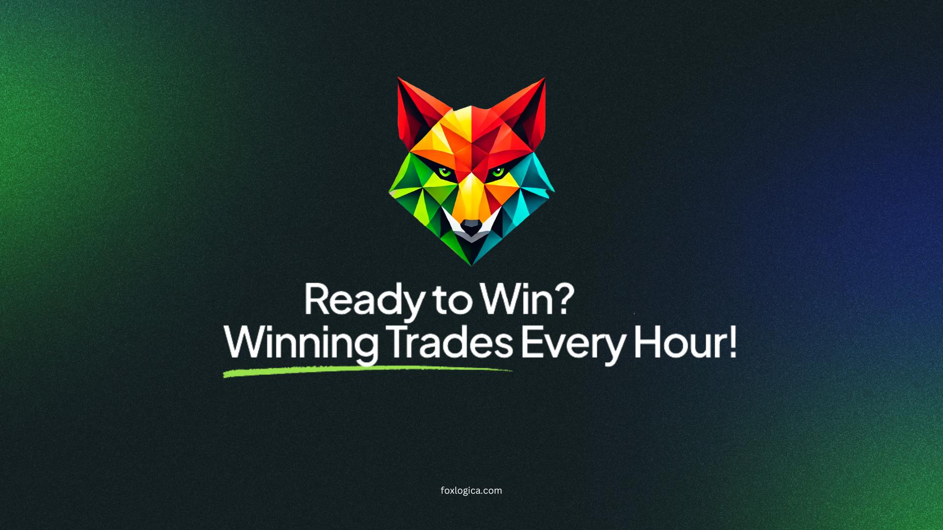 Discovery splash banner for Foxlogica Hub Discord server