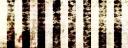 Discovery splash banner for ݂ 　  𝙽𝕠iɕִׄlᥱ　𝙽a𝕥͜i𐐫ᥒ   🂱 ݂˚̣̣̣ 　　　  ݁ Discord server