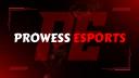 Discovery splash banner for PROWESS ESPORTS 🇮🇳 Discord server