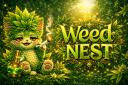 Discovery splash banner for 🌿 Weed Nest  𖥸 Discord server