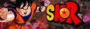 Discovery splash banner for 🐉'SKR • Drαgon Bαllᴿᴾ Discord server