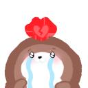 Discovery splash banner for Hong Store Discord server