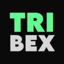 Discovery splash banner for TRIBEX Discord server