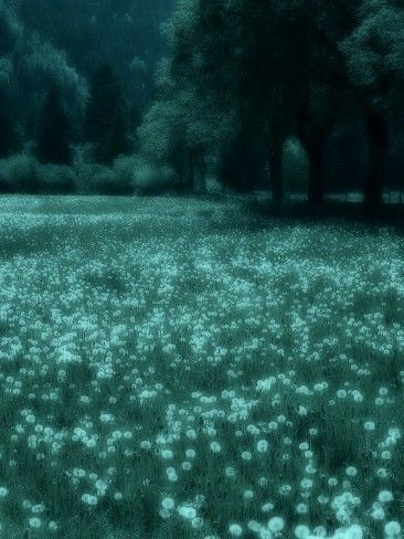 Discovery splash banner for Blade Ball Top Spenders Discord server