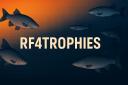 Discovery splash banner for RF4 Trophies Discord server