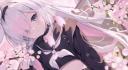 Discovery splash banner for Shonen University • Social • Partnerships • Gaming • Anime • Chill • Fun • E-Girl • Giveaways Discord server