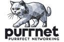 Discovery splash banner for PurrNet Discord server