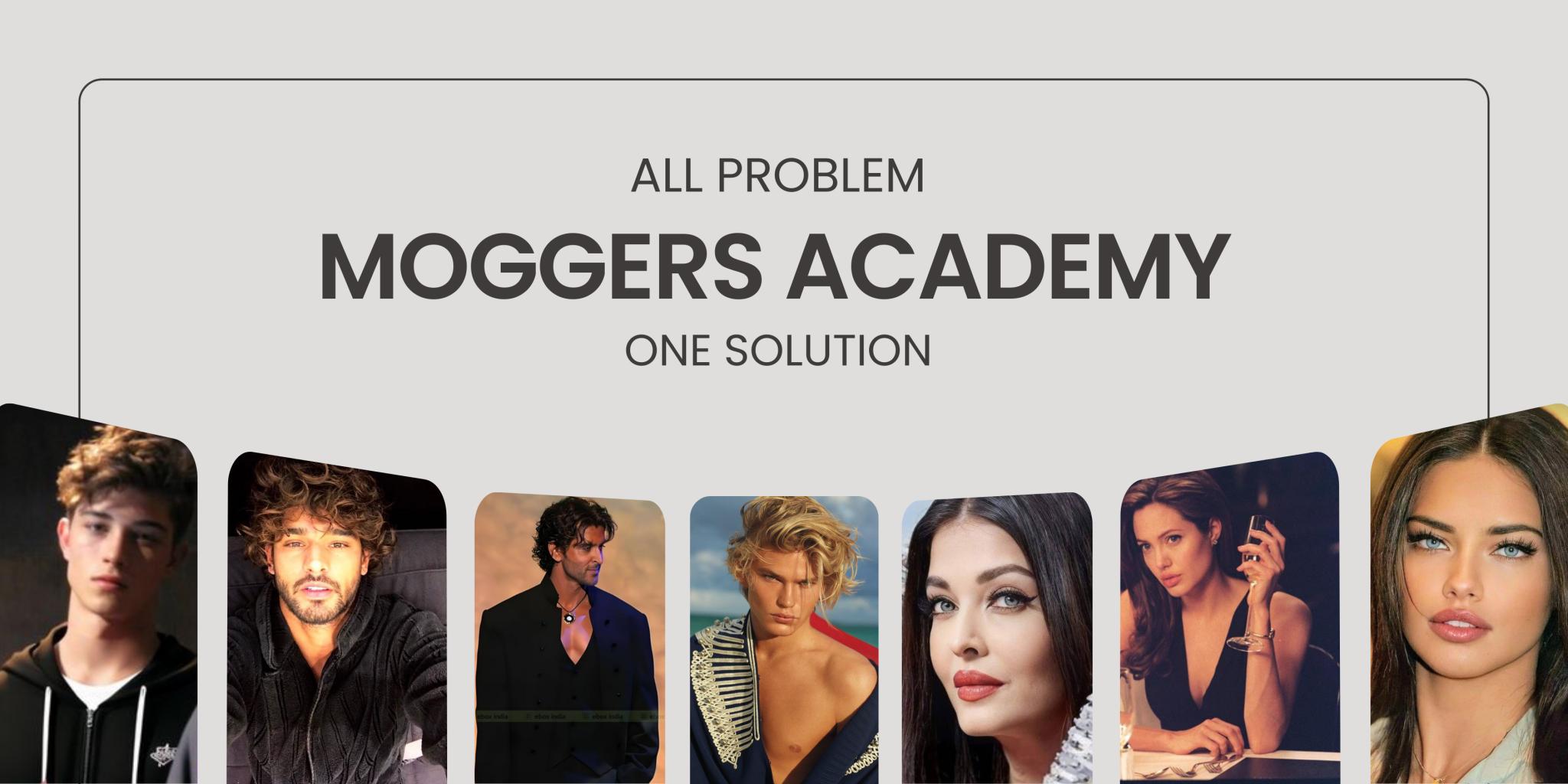 Discovery splash banner for Moggers Academyâ„¢ Discord server