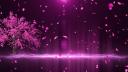 Discovery splash banner for ISHQ🌷| Indian discord server • Social • hangout • Active vc • India • NON-Dating • Nitro • sfw Discord server