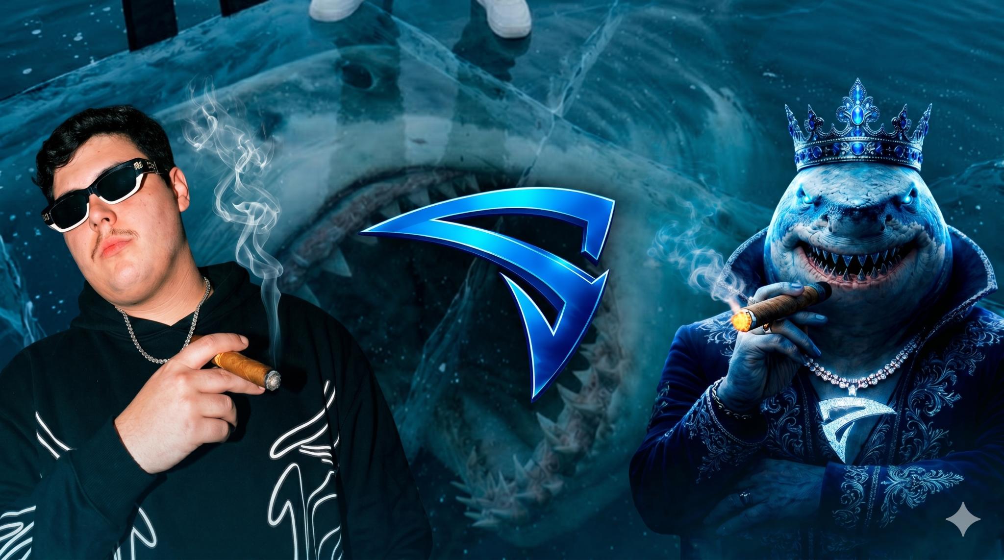 Discovery splash banner for SharkzClub Discord server