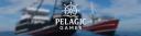 Discovery splash banner for Pelagic Games Discord server