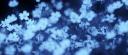 Discovery splash banner for /melts • active • stox • vcs • gws Discord server