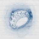 Discovery splash banner for BonnetLab Official Server™ Discord server