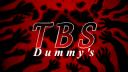 Discovery splash banner for TBS Dummy`s 👑 Discord server
