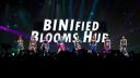 Discovery splash banner for BINIfied Blooms Hub Discord server