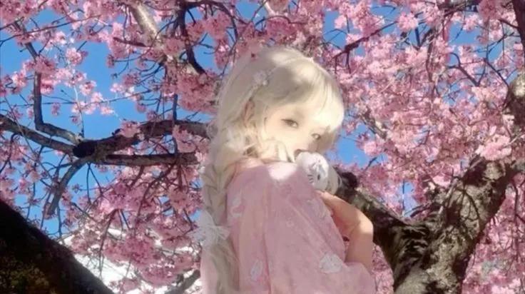 Discovery splash banner for Noir 𖥨 ♠ hangout ✦ social✦ gws ✦ vcs ✦ chill Discord server