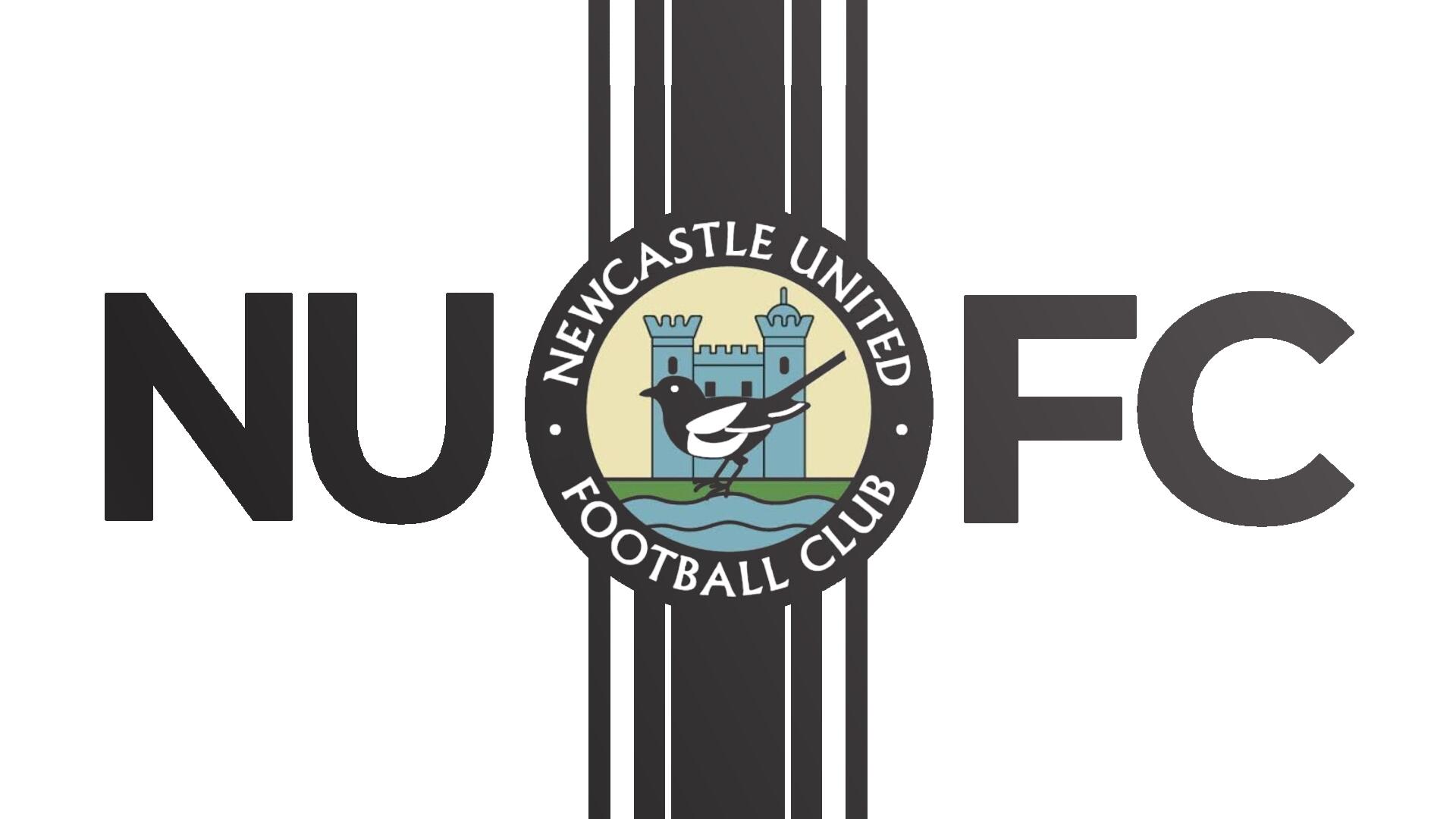 Discovery splash banner for Newcastle United Discord server