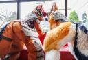 Discovery splash banner for Fursuit Butts Discord server
