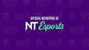 Discovery splash banner for NT | Esports Discord server