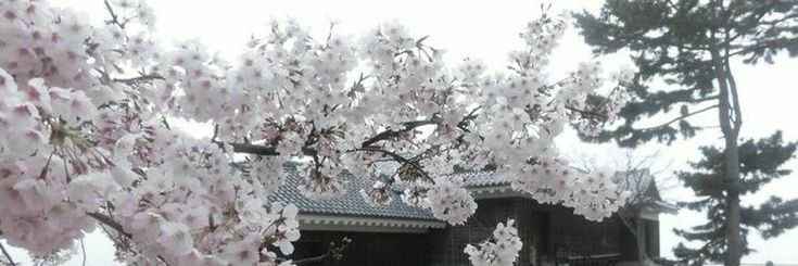 Discovery splash banner for /mystic Discord server